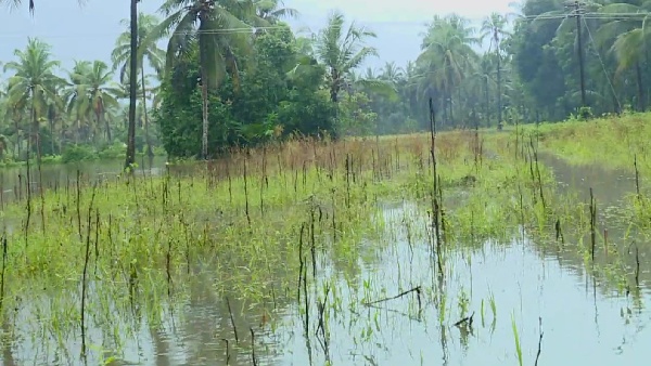 ಕಿಂಡಿ ಅಣೆಕಟ್ಟಿನಿಂದ ನೆಲೆಳೆದುಕೊಂಡ ಹಲವು ಕುಟುಂಬ 