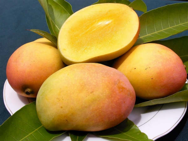 ವಿವಿಧ ರೀತಿಯ ಮಾವು; 