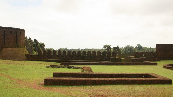 ಸುಮಾರು 11.5 ಎಕರೆಗಳಷ್ಟು ವಿಸ್ತಾರ 