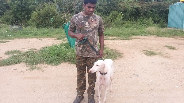 ಅಧಿಕಾರಿಗಳ ಕಮಾಂಡಿಂಗ್ ಕೇಳದ ಮುಧೋಳ್ ಅಧಿಕಾರಿಗಳ ಕಮಾಂಡಿಂಗ್ ಕೇಳದ ಮುಧೋಳ್