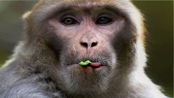 ಮನೆಬಿಟ್ಟು ಹೊರಬಾರದ ಜನ
