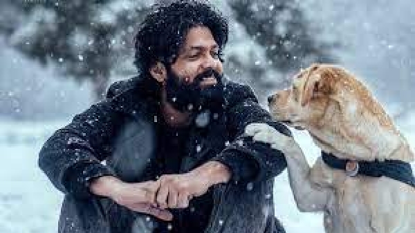 ಚಾರ್ಲಿಗೆ ಸೂಕ್ತ ತರಬೇತಿ ನೀಡಿಯೇ ಕ್ಯಾಮೆರಾ ಮುಂದೆ 