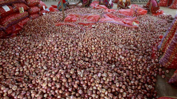 The government has stockpiled two and a half lakh tonnes of onion to prevent price rise 
