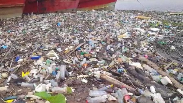 Green Activist Collected 10 Loads Waste in Phalguni River 