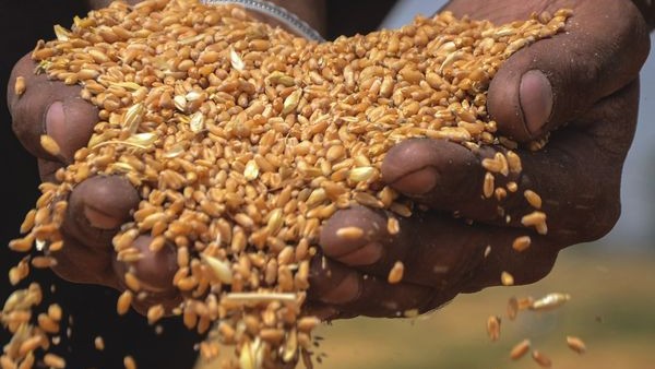 2021ರಲ್ಲಿ ಭಾರತ ರಫ್ತು ಮಾಡಿದ ಗೋಧಿ ಪ್ರಮಾಣವೆಷ್ಟು? 