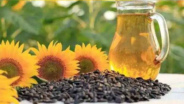 ಮುಂಗಾರು ಕೈ ಕೊಟ್ಟಿರುವುದರಿಂದ ಬೆಳೆಗೆ ಹಸಿರು ರೋಗ 