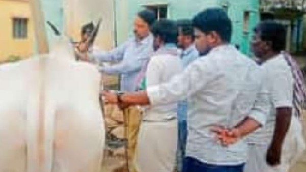 ಪಶು ಇಲಾಖೆಯಿಂದ ಅಗತ್ಯ ಲಸಿಕಾ ಕ್ರಮ 