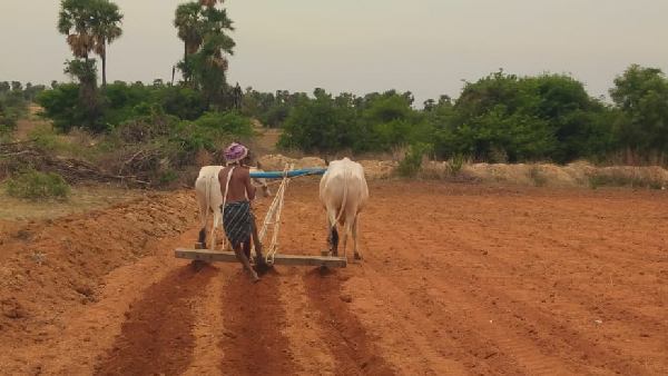 ರಾಜ್ಯ ಸರ್ಕಾರದ ಪ್ರೋತ್ಸಾಹ 