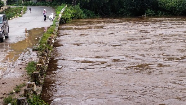  chikkamagaluru: heavy rain-overflowing bhadra river on hebbale bridge