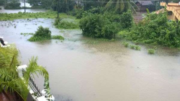 ಅಡಿಕೆ ತೋಟಗಳು ಜಲಾವೃತ ಅಡಿಕೆ ತೋಟಗಳು ಜಲಾವೃತ