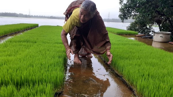  ವಿಭಿನ್ನವಾಗಿ ಕೃಷಿ ಚಟುವಟಿಕೆಗೆ ರೈತರು