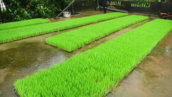  ಧರ್ಮಸ್ಥಳ ಗ್ರಾಮಾಭಿವೃದ್ಧಿ ಸಂಸ್ಥೆಯಿಂದಲೂ ಸಹಾಯ 