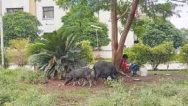  ಅವ್ಯವಸ್ಥೆ ವಿರುದ್ಧ ಧ್ವನಿ ಎತ್ತದ ಜನಪ್ರತಿನಿಧಿಗಳು
