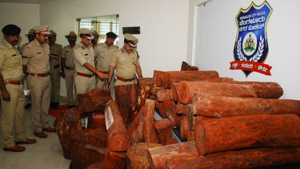 ಕೋಟಿ ಕೋಟಿ ಮೌಲ್ಯದ ರಕ್ತಚಂದನ ವಶಕ್ಕೆ 