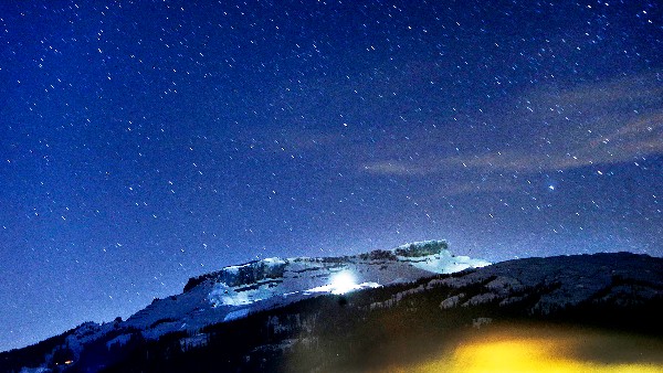 ಡಾಗ್ ಸ್ಟಾರ್ 