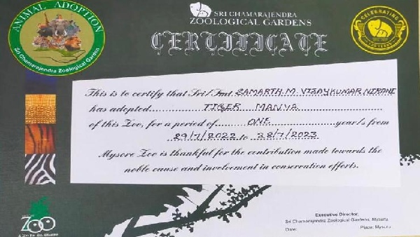 Minister Murugesh Nirani Adopts Tiger Named Manya on International Tiger Day