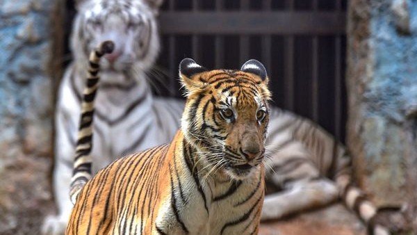 ರಾಜ್ಯವಾರು ಅಂಕಿ ಅಂಶಗಳು: 