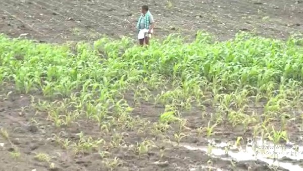 Tiles factory chemical water flowing into farm: Farmers outraged