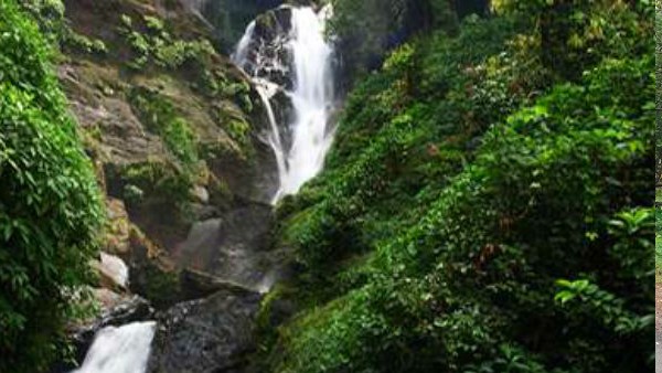  ಪ್ರವಾಸಿಗರ ನಿರ್ಬಂಧಕ್ಕೆ ಆ ಐವರ ಸಾವು ಕಾರಣ 