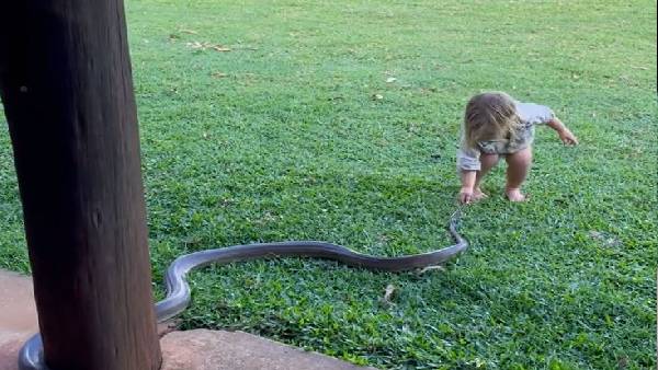 ಚಿಕ್ಕ ಮಗುವಿನಲ್ಲಿ ದೊಡ್ಡ ಧೈರ್ಯ 