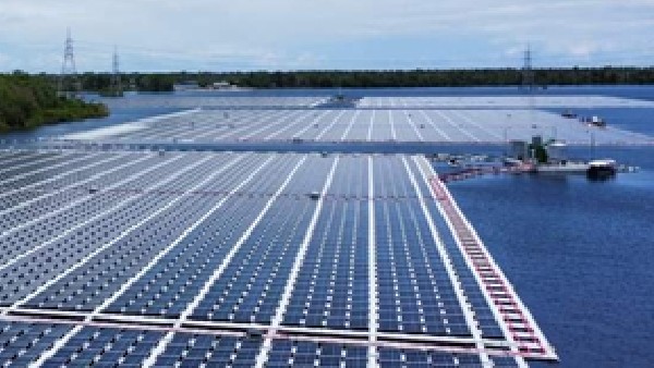  ಮೂರು ಬದಿಗಳಿಗೂ ದಟ್ಟವಾದ ಸಸ್ಯವರ್ಗ 