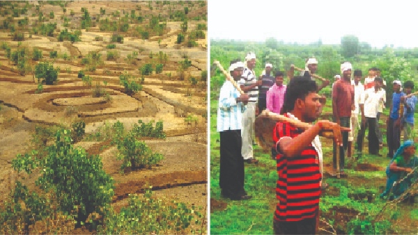  ಪುಣ್ಯಕೋಟಿ ದತ್ತು ಯೋಜನೆ 
