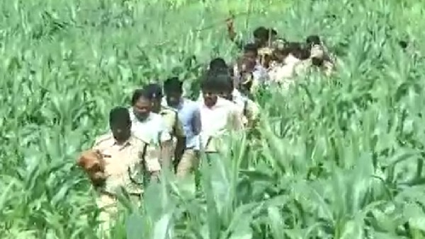  ಅರಣ್ಯ ಇಲಾಖೆ ಘೋಷಿಸಿದ ಪರಿಹಾರ ಎಷ್ಟು?