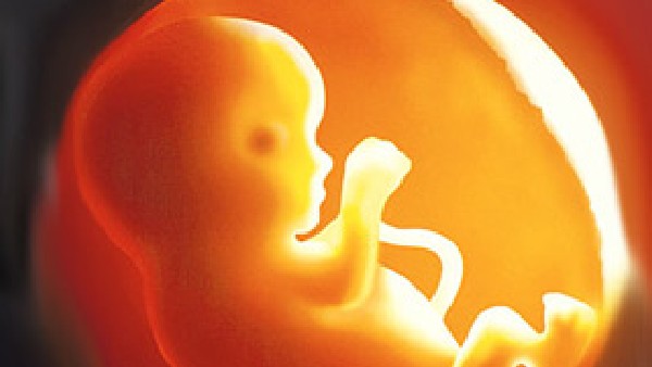 ಹೆಣ್ಣುಮಕ್ಕಳಿಗಿಂತ ಹೆಚ್ಚು ಗಂಡು ಮಕ್ಕಳನ್ನು ಹೊಂದುವ ಬಯಕೆ ಕಡಿಮೆ