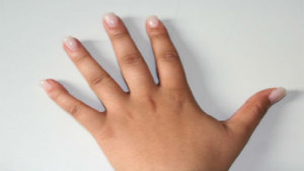 ಆರೋಪಿಗಳ ಬೆರಳಚ್ಚು ಒಂದೇ ಸೂರಿನಡಿ 