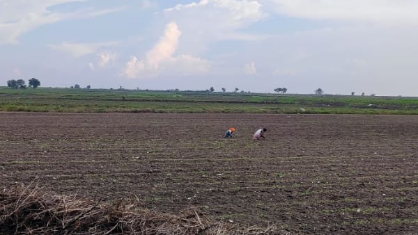  ರೈತರಿಗೆ ಕೃಷಿ ಇಲಾಖೆ ಕೊಟ್ಟ ಸಲಹೆ