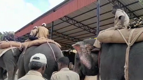 ವಿಶೇಷ ಬ್ಯಾಟರಿಗಳ ವ್ಯವಸ್ಥೆ 