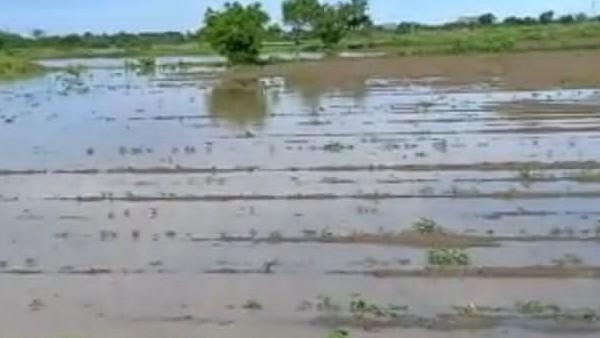  ರೈತರಿಗೆ ವಿತರಿಸಿದ ಗೊಬ್ಬರ ಎಷ್ಟು?