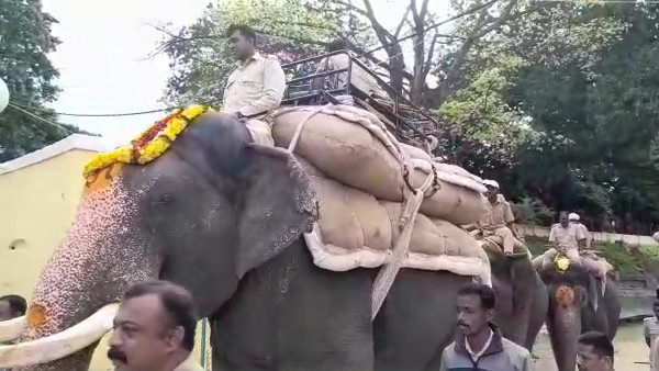 ಆನೆಗಳಿಗೆ ವಿಶೇಷ ಸೌಲಭ್ಯ 