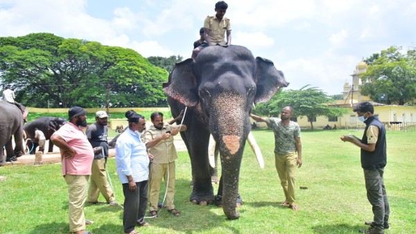  ದಶಕಕ್ಕೂ ಹೆಚ್ಚು ಕಾಲ ಸಂಗೀತ ಗಾಡಿ ಎಳೆದಿರುವ ಅಭಿಮನ್ಯು