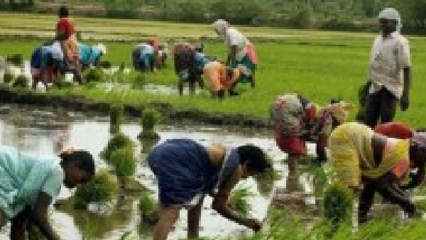 MSP Committee will organized first meeting on August 22 at New Delhi MSP Committee will organized first meeting on August 22 at New Delhi