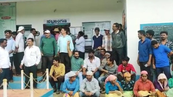 Wild elephant attack in Hassan district agriculture land: coffee, pepper, rice crops destroyed