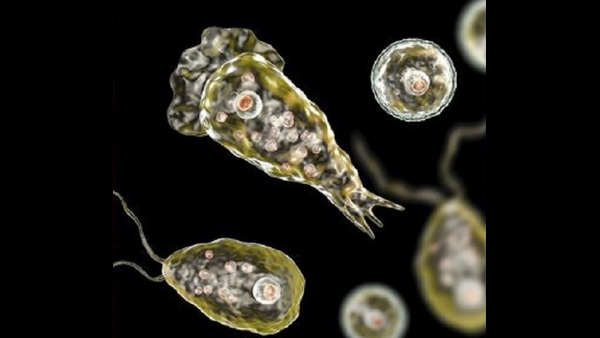 Another girl died in America from brain-eating amoeba!
