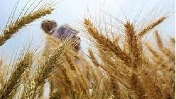  ಭಾರತದಲ್ಲಿ ಆಹಾರ ಕ್ಷಾಮ ಉಂಟಾಗುತ್ತಾ?