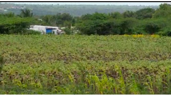 ಭೂಸ್ವಾಧೀನಕ್ಕೆ ಮುಂದಾದ ರಾಜ್ಯ ಸರ್ಕಾರ ಭೂಸ್ವಾಧೀನಕ್ಕೆ ಮುಂದಾದ ರಾಜ್ಯ ಸರ್ಕಾರ