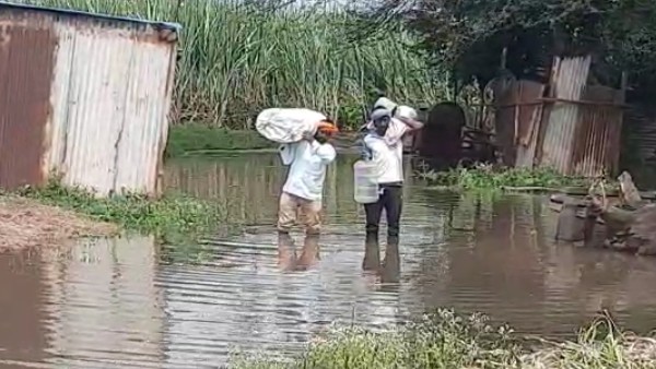  ಜಮೀನಿಗೆ ನೀರು ನುಗ್ಗಿ ಕಬ್ಬು, ಪೇರಲ ಬೆಳೆ ನಾಶ 