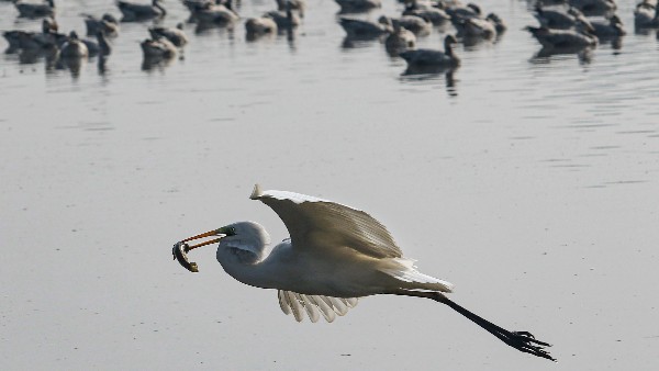  ತಿನ್ನುವ ಬಗ್ಗೆ ಮಾತನಾಡುವುದು