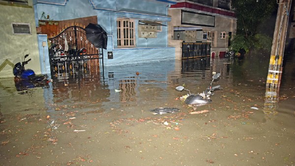 ವಿದ್ಯುತ್ ತಂತಿ ಮೇಲೆ ಬಿದ್ದ ಮರ: ವ್ಯಕ್ತಿ ಸಾವು