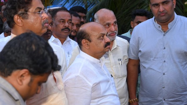  21,431 ಹೆಕ್ಟೇರ್ ಪ್ರದೇಶ ಬೆಳೆ 