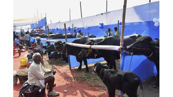  ತೂಕ ಹೆಚ್ಚಸಲು ಸಹಾಯಕಾರಿ