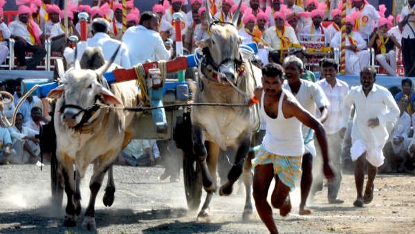  ಜಿಲ್ಲಾ ಪಂಚಾಯಿತಿ ಮೂಲಕ ಹಣ ಮಂಜೂರು 