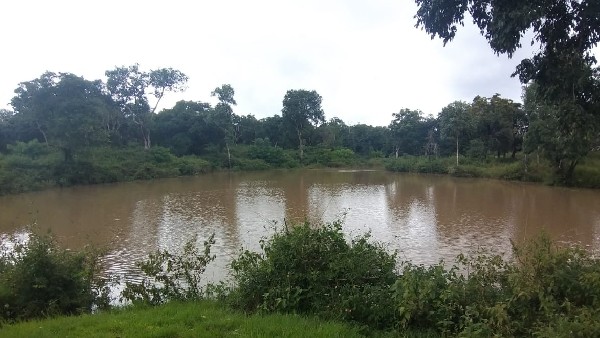  ಸೋಲಾರ್‌ ಪಂಪ್‌ಸೆಟ್‌ಗಳಲ್ಲಿ ಕೆರೆಗೆ ನೀರು