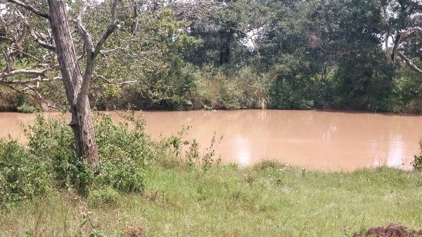  ಕಡಿಮೆ ಆದ ಕಾಡು ಪ್ರಾಣಿಗಳ ಹಾವಳಿ 