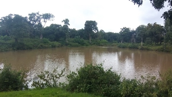  ಅತೀ ಹೆಚ್ಚು ಹುಲಿಗಳ ತಾಣವಾದ ಅರಣ್ಯ 