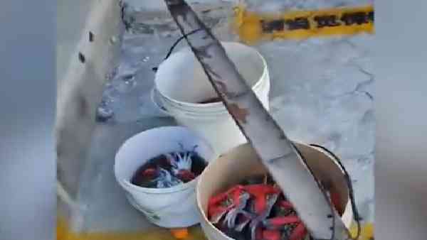 ಸಮುದ್ರ ಉತ್ಪನ್ನಗಳ ವಿನಿಮಯ ಮೂಲಕ ಕೊರೊನಾ 