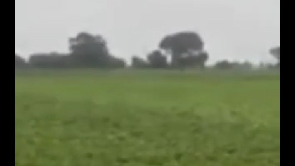 Crops disease due to heavy rain in Dharwad, pesticide sprayed by drone